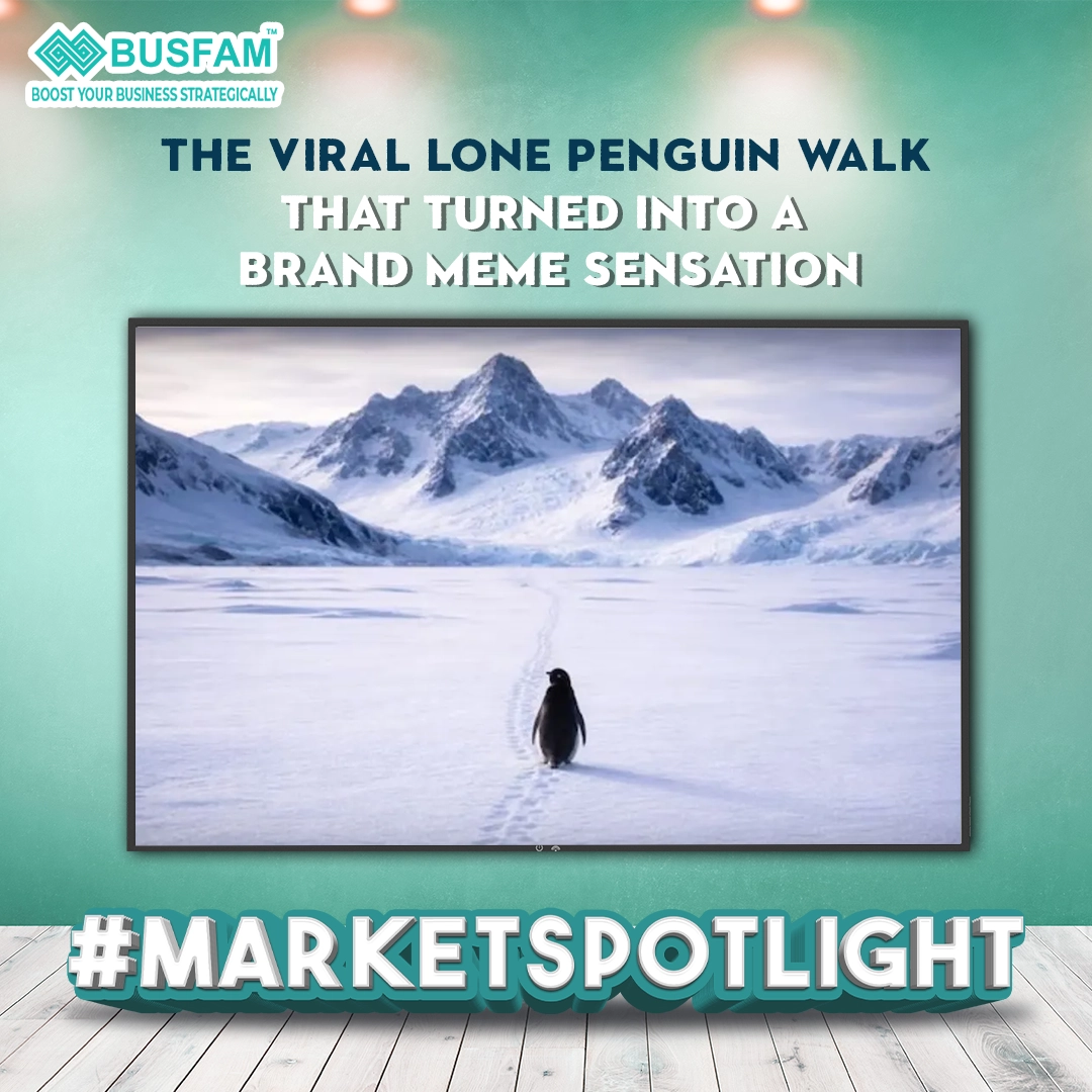 The Viral Lone Penguin Walk That Turned Into a Brand Meme Sensation